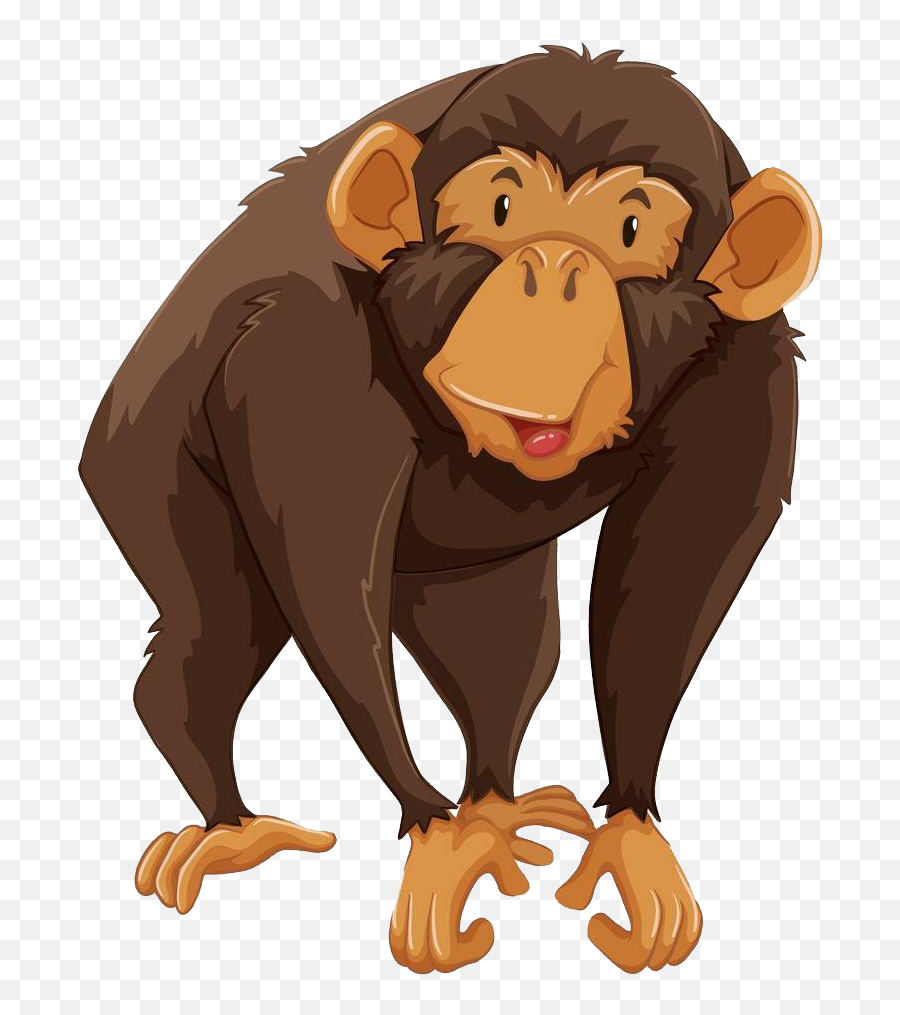 Chimp Drawing Neonatal Transparent - Monkey Illustration Png,Chimp Png