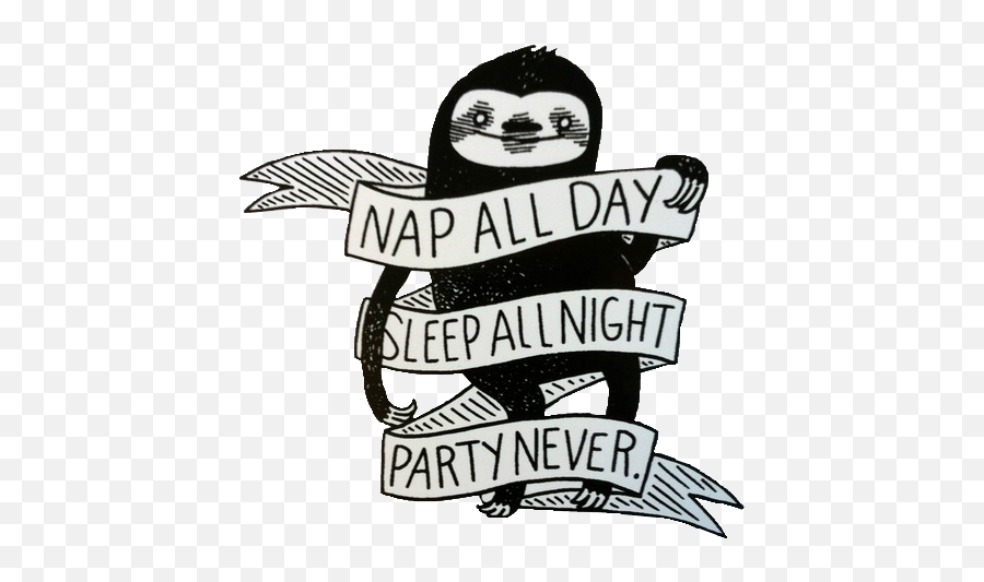 Download Cute Sloths Sloth Transparent - Nap All Day Sleep All Night Sloth Png,Sloth Transparent