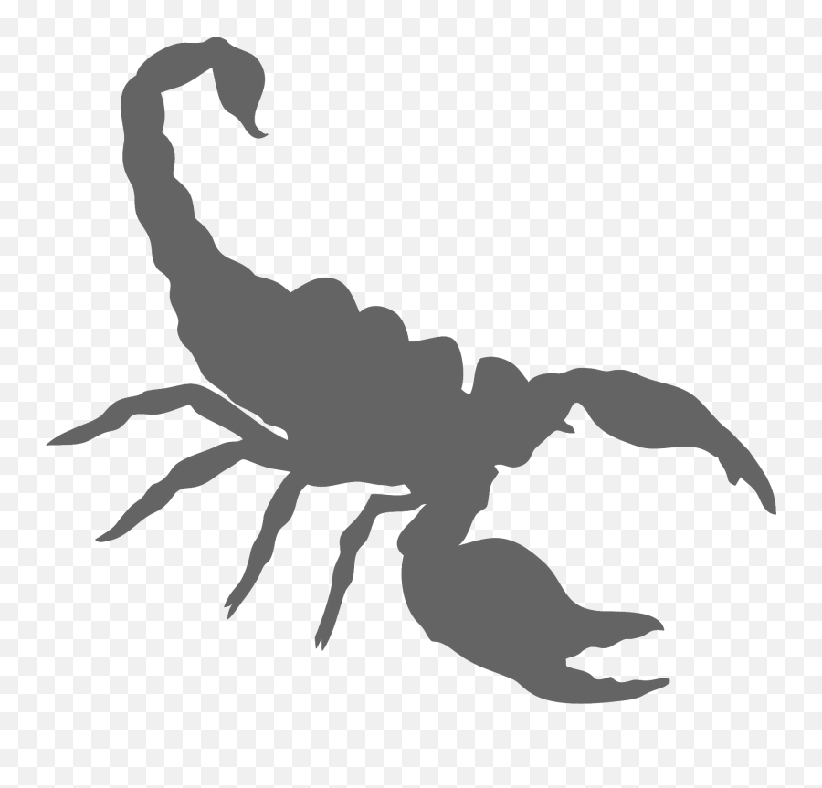 Download A3 Scorpion - Scorpion Png,Scorpion Png