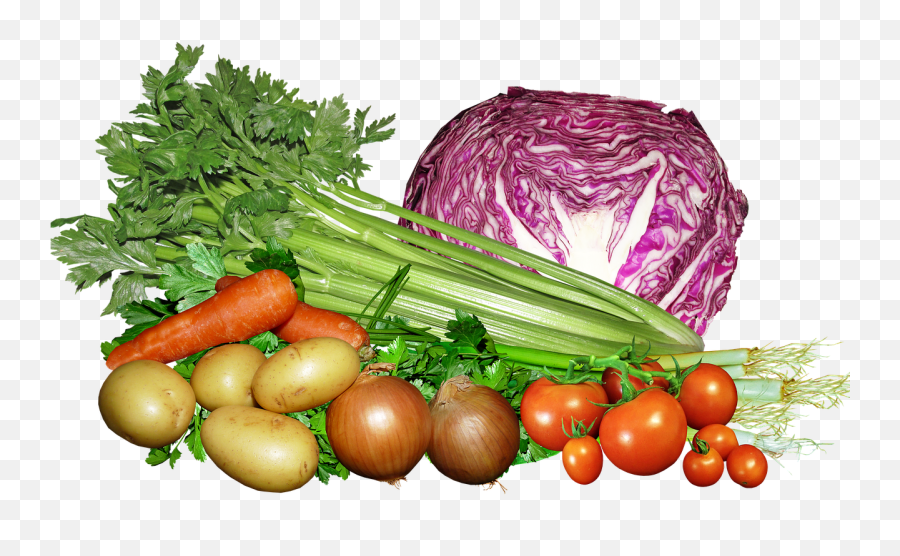 Vegetables Food Celery - Free Photo On Pixabay Horticolas Png,Celery Png