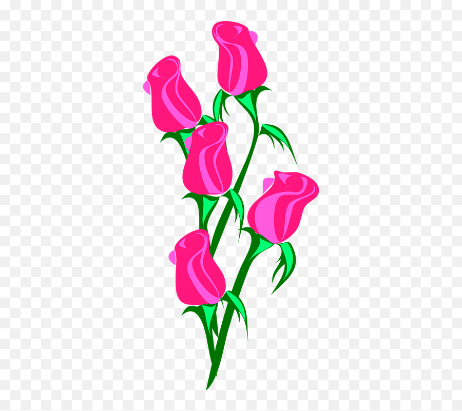 Rosebud Vine U2013 Latest News St Rose - Tiny Rose Clip Art Png,Rose Vine Png