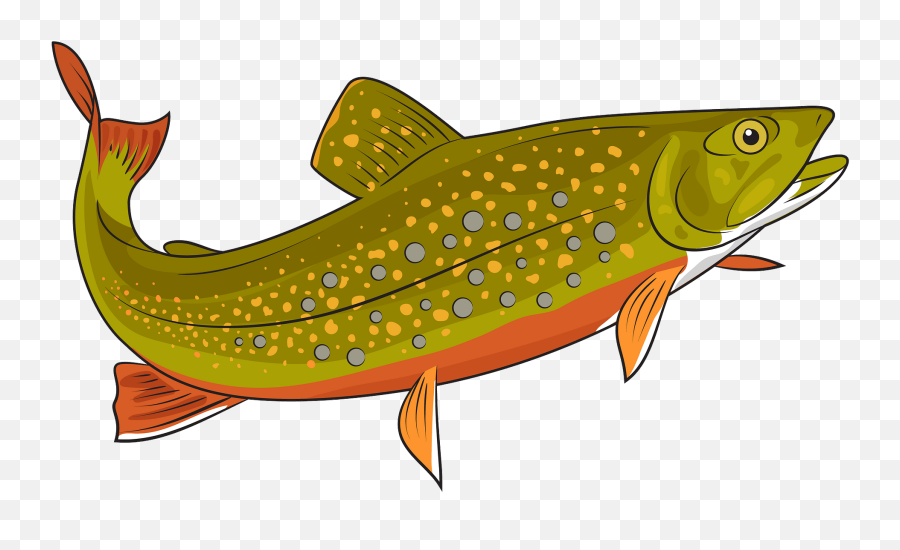 Brook Trout Clipart Free Download Transparent Png Creazilla - Trout Clipart,Trout Png