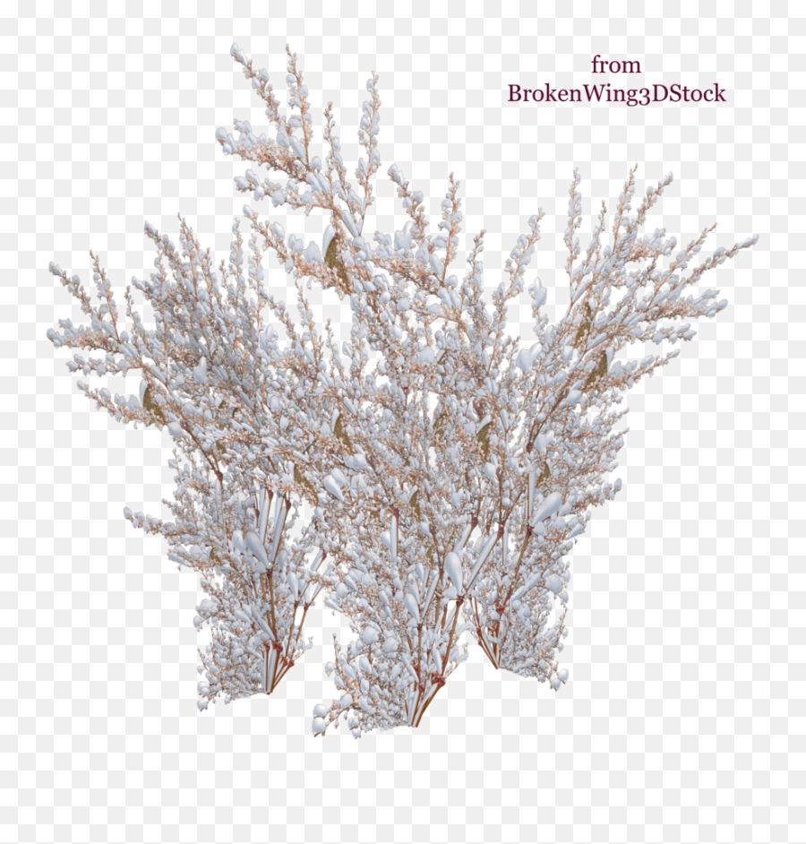 Download The Snow - Winter Bush Png,Snow Tree Png