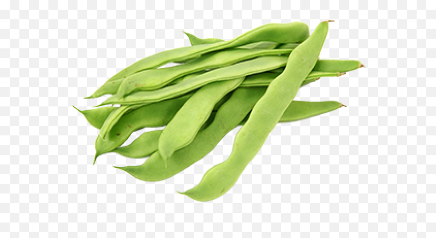 Bean Clipart Cowpea - Hyacinth Beans Clipart Transparent Judia Verde Png,Beans Transparent