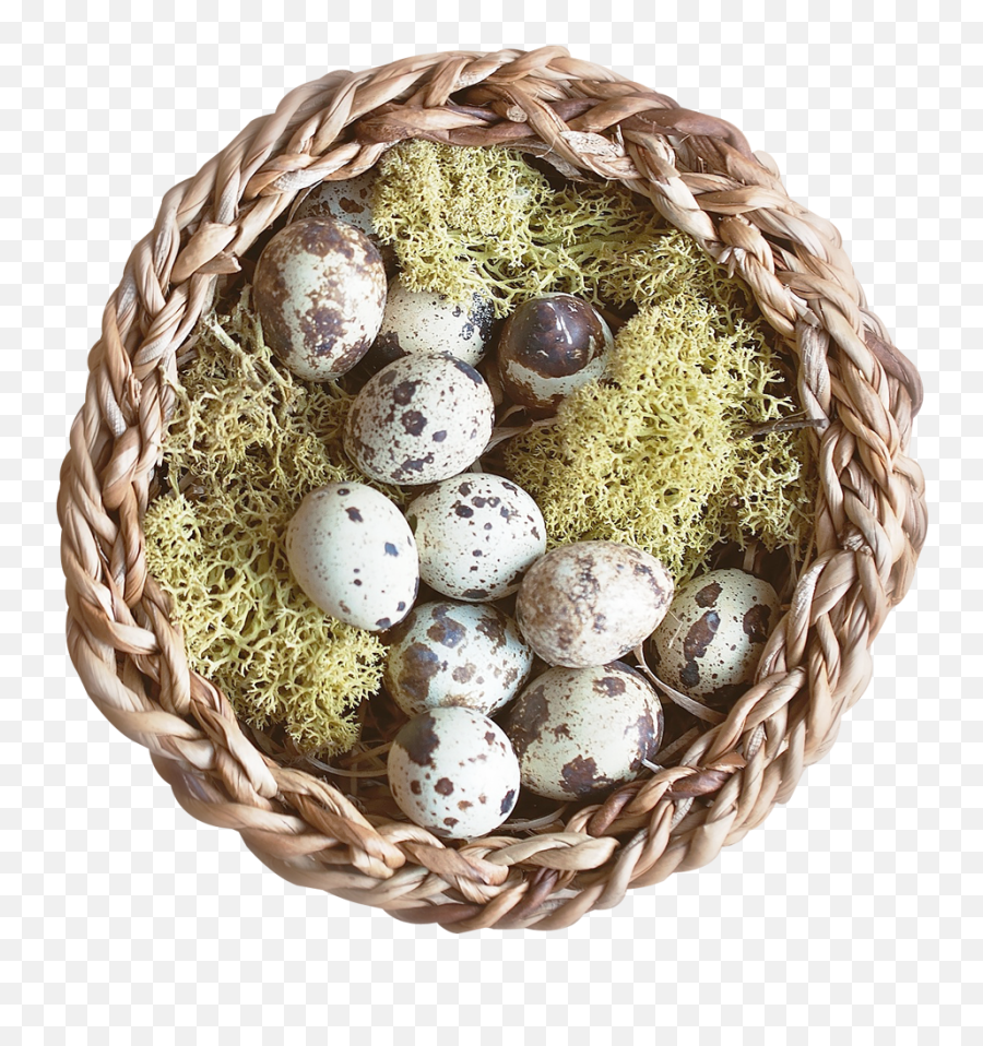 Nest Png - Portable Network Graphics,Easter Eggs Transparent Background