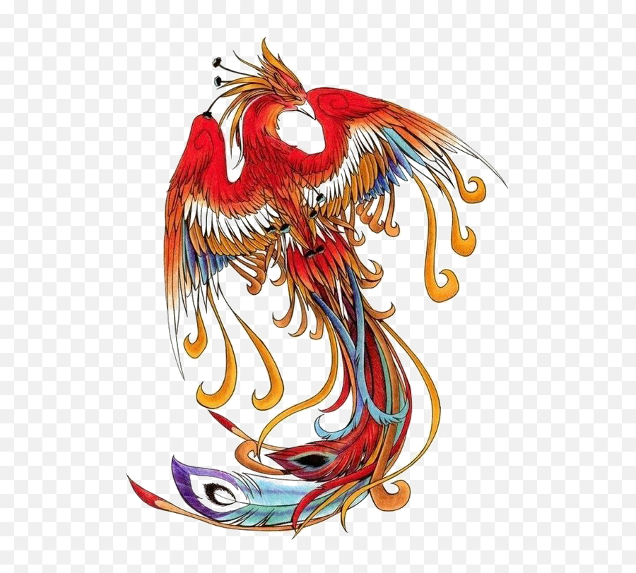 Download Wind Chinese Simurgh Phoenix Png Free Photo Clipart - Death Before Dishonor Tattoo Designs,Phoenix Png