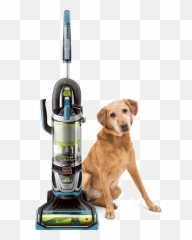 1612631 Bissell Pleated Filter - Pet Hair Eraser Vacuum png