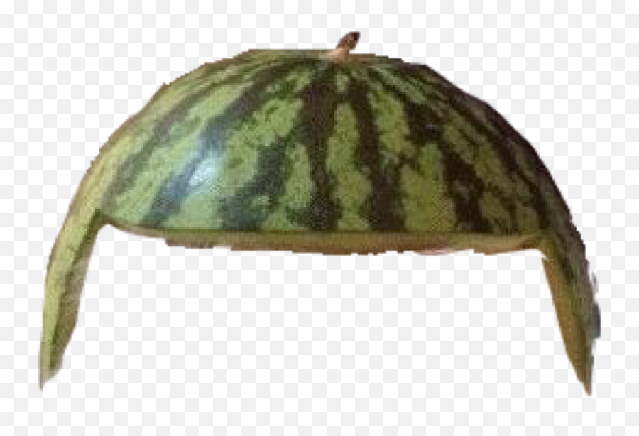Does Anyone Have A Melon Helmet Png Hypixel - Minecraft Watermelon Helmet Png,Minecraft Helmet Png