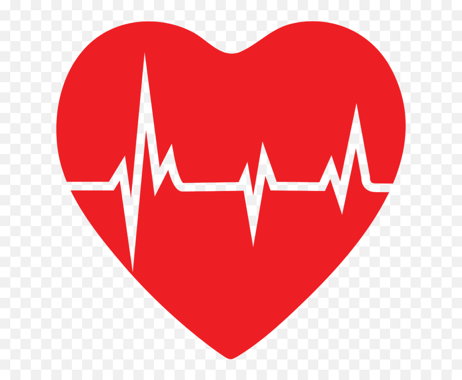 Electrocardiogram Ecg Services - Vertical Png,Ekg Png