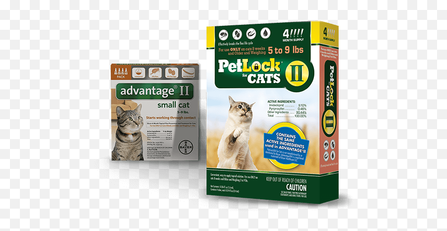 Petlock Ii Flea Treatment U0026 Prevention For Small Cats 5 - 9lbs Cat Png,Flea Png