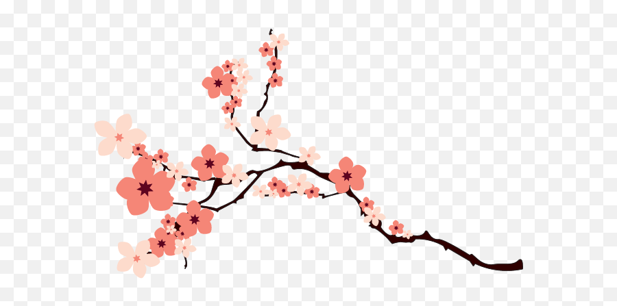 Crazypng - Cherry Blossom Clipart Transparent,Sakura Flower Png