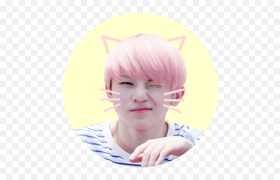 92 Images About Seventeen - Seventeen Woozi Cat Aegyo Png,Seventeen Transparent