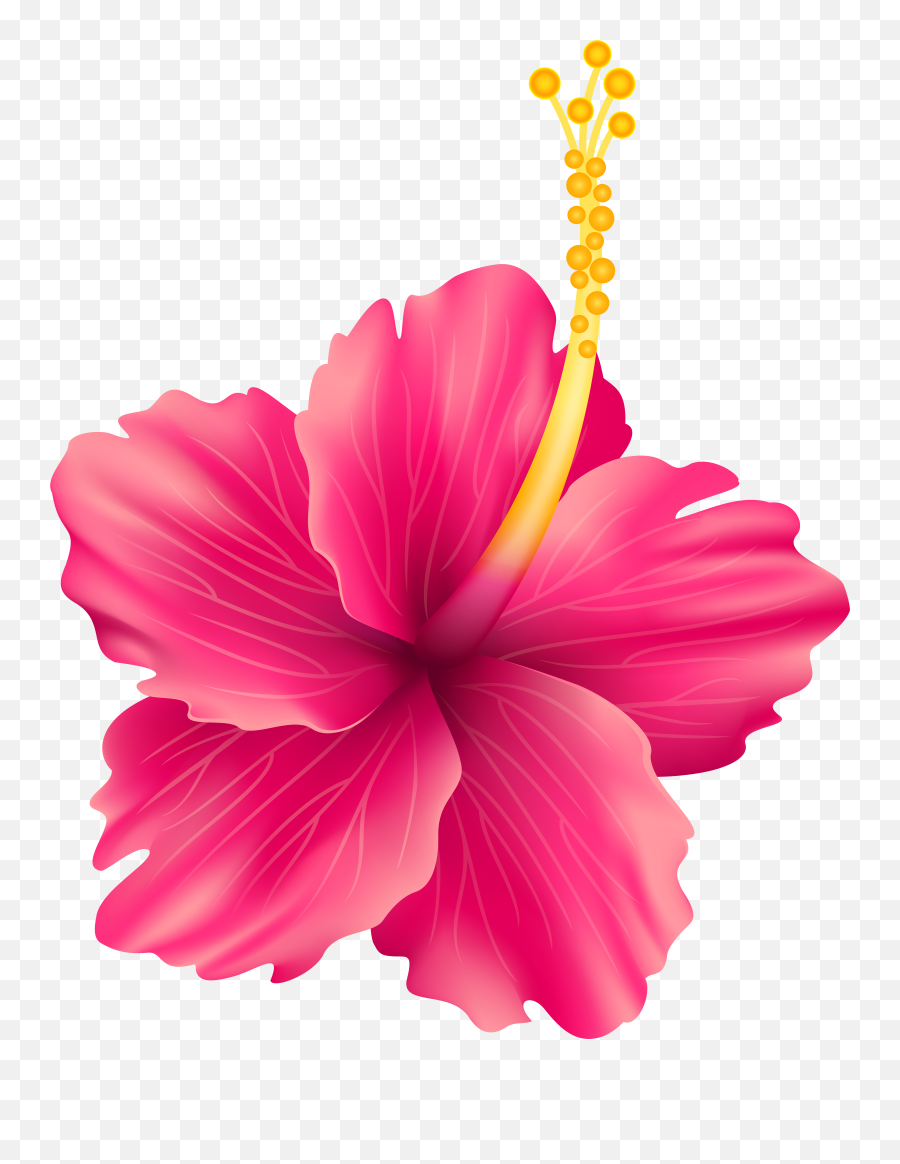 Flower Clip Art Png Transparent Flowers