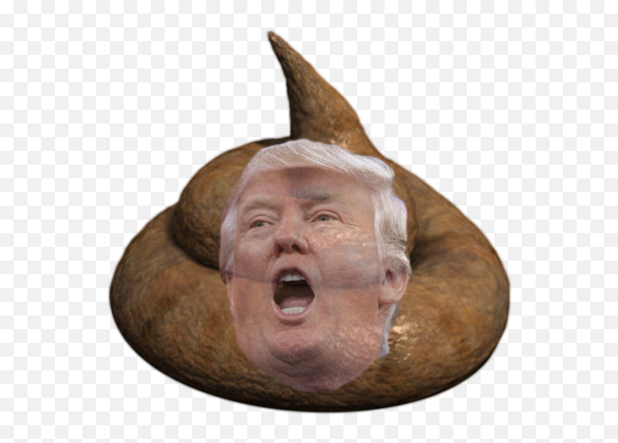 Donald Big Pile Of Crap Trump Know Your Meme - Pile Of Crap Png,Donald Trump Head Transparent