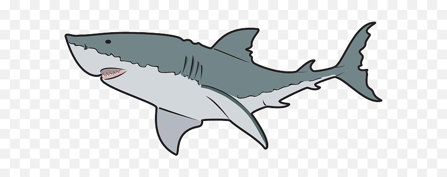 Shark Clipart Transparent Background - Great White Shark Clip Art Png,Shark Clipart Transparent Background