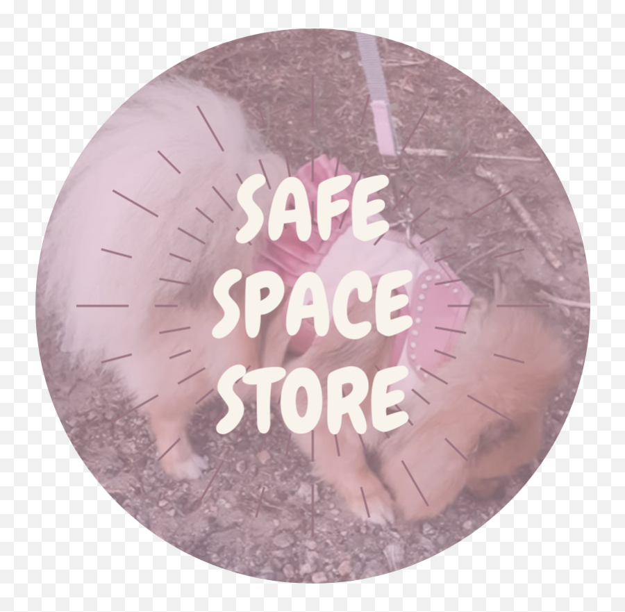 Safe Space Store Shopify Listing Smallsafespacecom - Language Png,Safe Place Icon