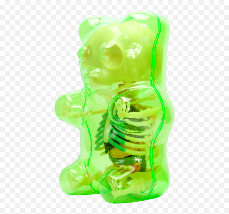 Clear Gummi Bear Funny Anatomy - Clear Gummi Bear Funny Anatomy Png,Gummy Bear Png