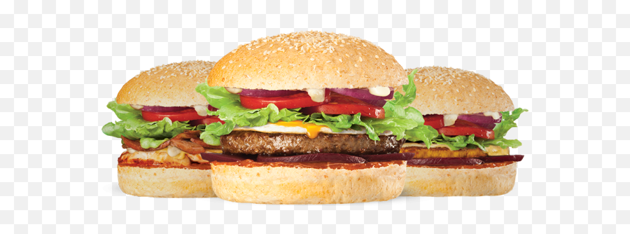 Burger Png Image 3