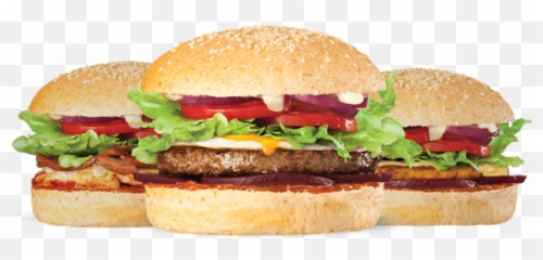 Burger Png Image 3