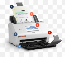Epson Photo And Document Scanners - Best Buy png