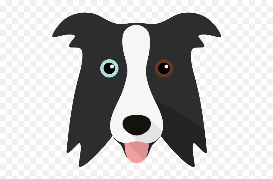Create A Tailor - Made Shop Just For Your Border Collie Png,Corgi Icon Scots Guards