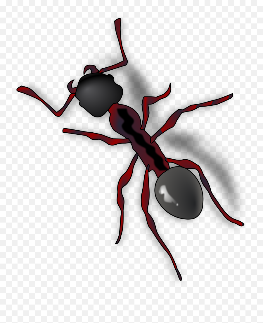 Download Ant Png Image For Free - Ant Clip Art,Ant Png