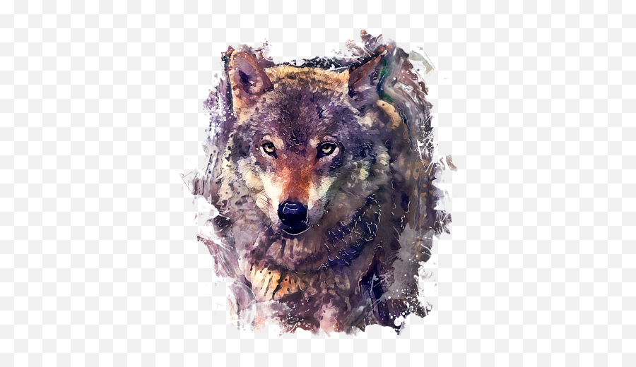 Wolf Watercolor Painting T - Shirt Wolf Watercolor Painting Png,Wolf Transparent