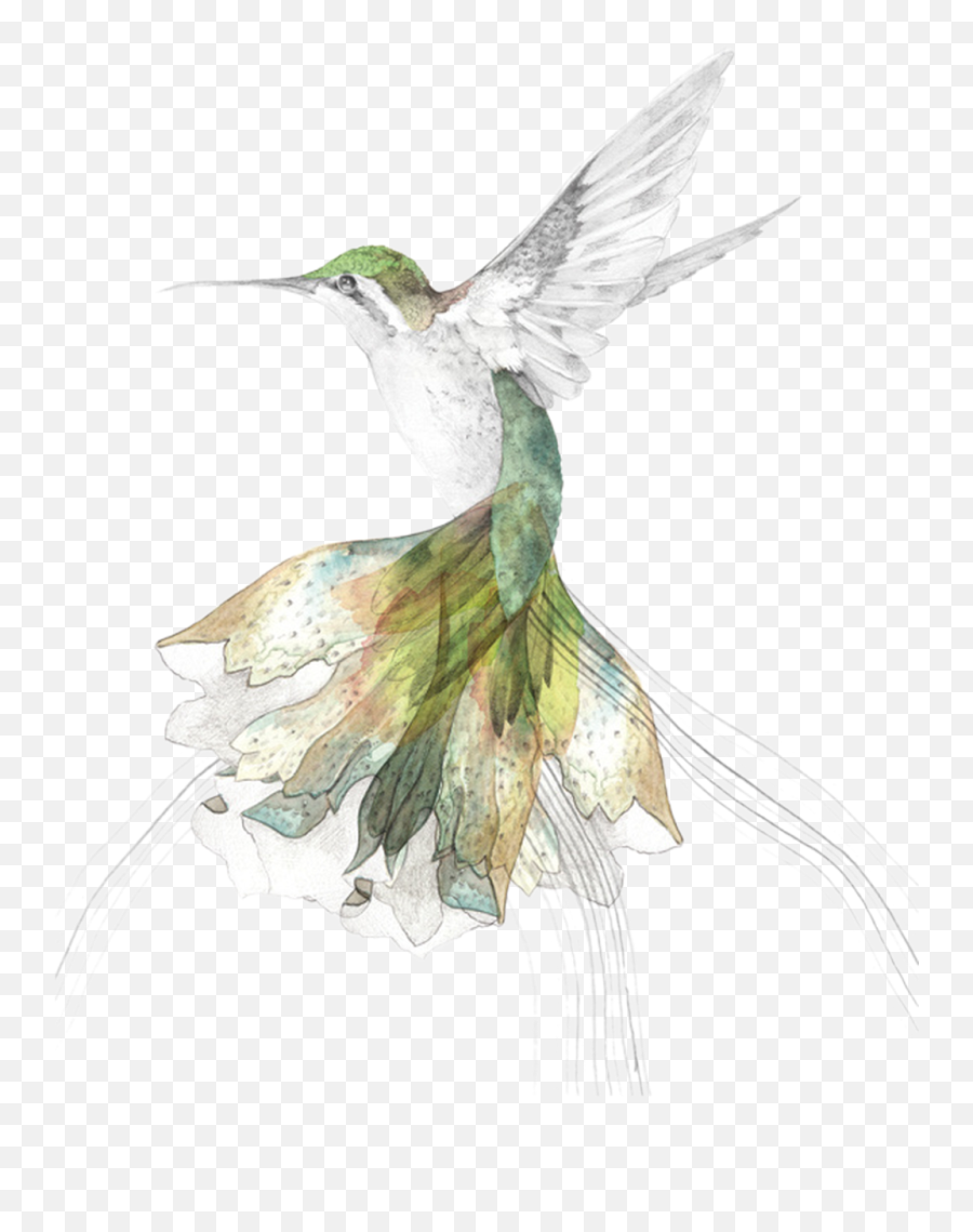Download Hand Painted Hummingbird - Beth Emily Gregory Art Png,Hummingbird Transparent