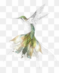 Download Hand Painted Hummingbird - Beth Emily Gregory Art Png,Hummingbird Transparent