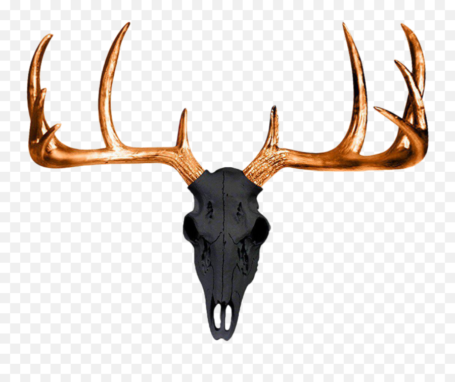 Deer Skull Decal Transparent Png - Deer Skulls And Antlers Transparent Background,Deer Skull Png