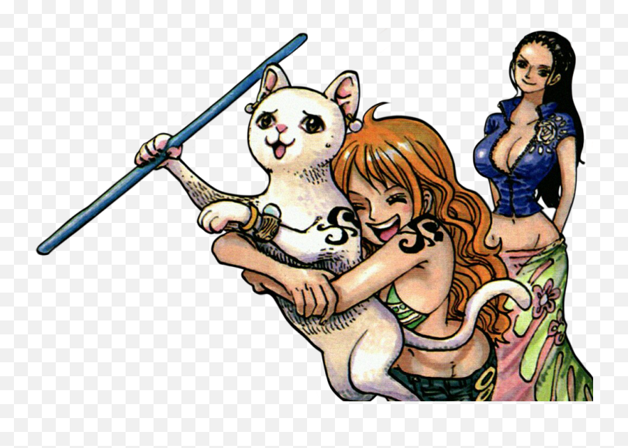 Pin - Nami And Robin Color Spread Png,Nami Png