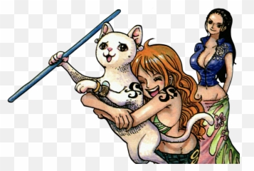 Pin - Nami And Robin Color Spread Png,Nami Png