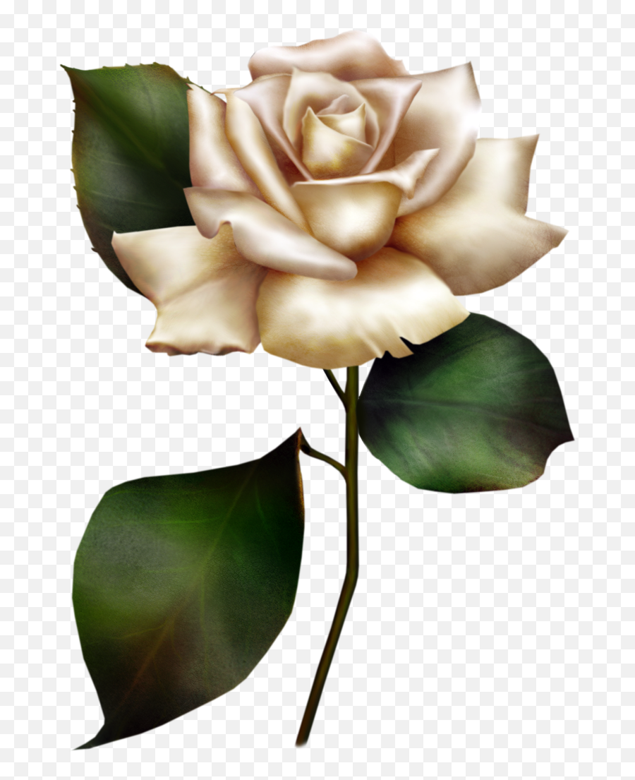 90 Painted White Rose Clip Art Clipartlook - Painted White Rose Png,White Roses Png
