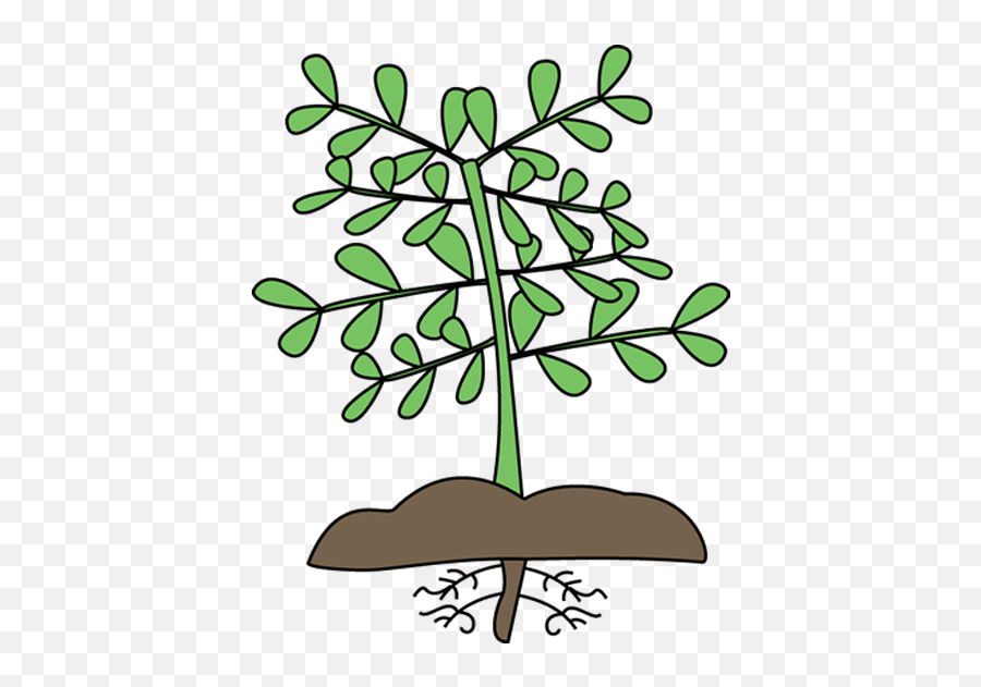 Download Free Png Plant Roots Clipart - Plant With Roots Clip Art,Plant Clipart Png