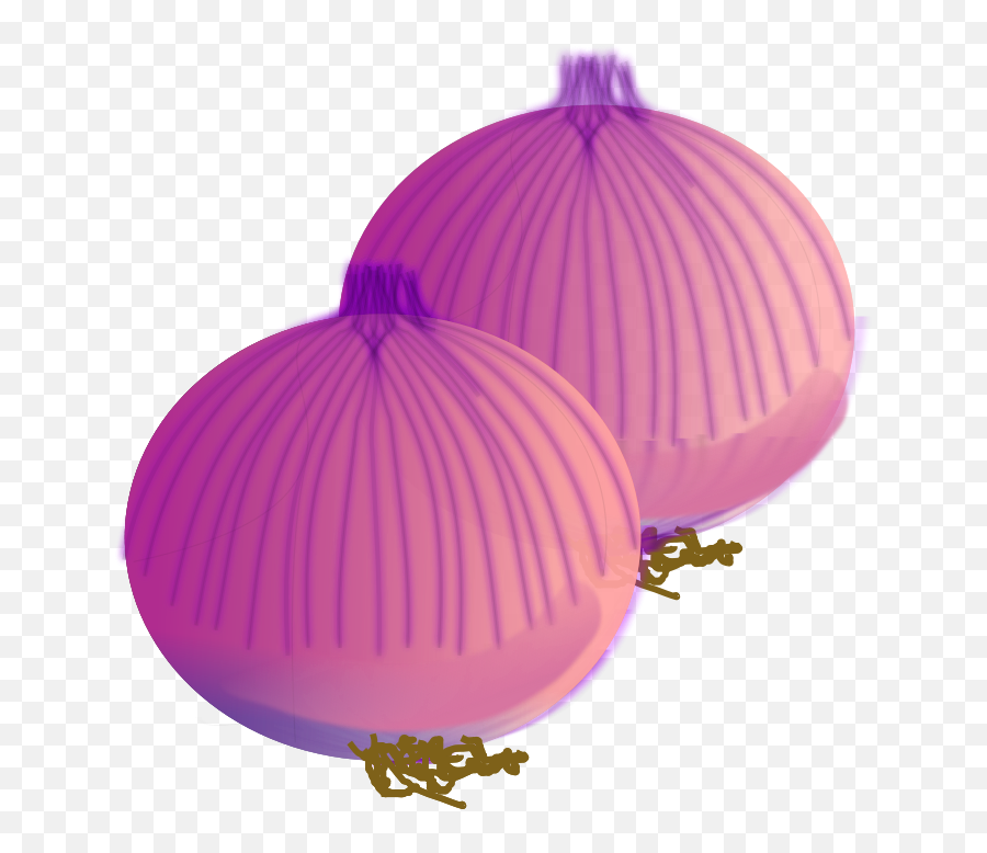 Download Onion Vector Hq Png Image In - Onions Clipart,Onion Transparent Background
