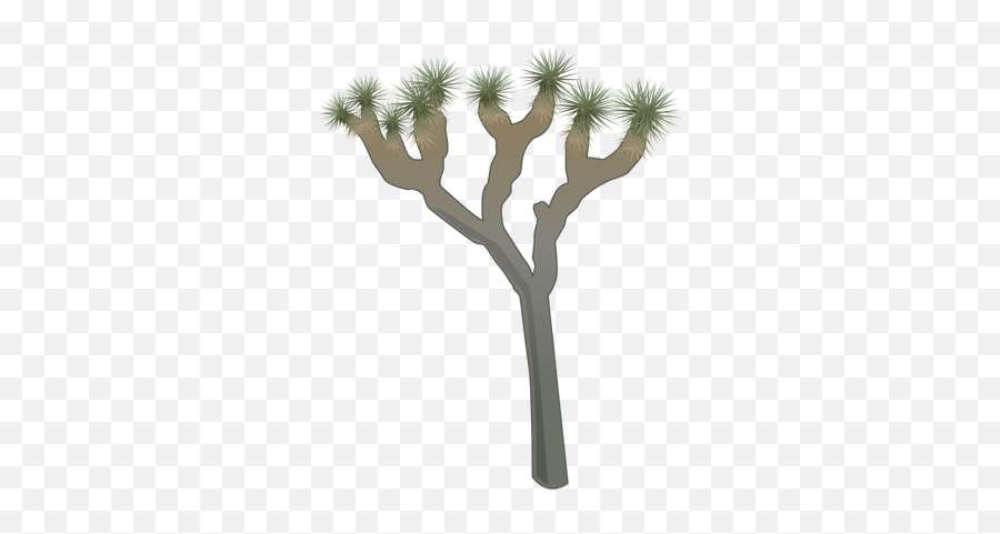 Ian Symbol Yucca Brevifolia - Easy Joshua Tree Drawing Png,Yucca Png