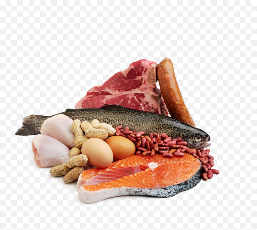 Library Of Fish Protein Vector Free - Meat And Fish Png,Meat Transparent Background