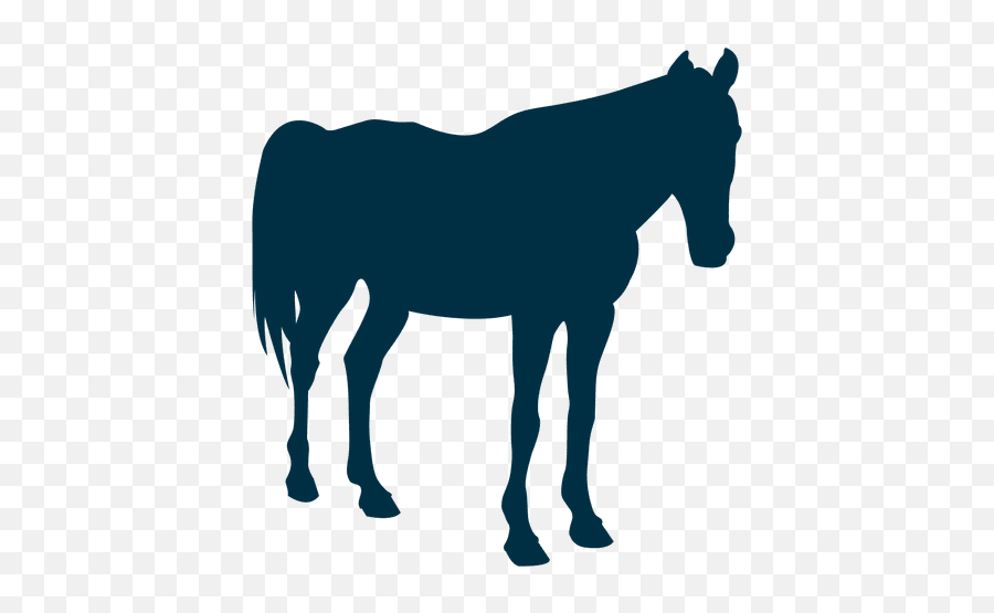 Horse Still Silhouette - Transparent Png U0026 Svg Vector File Horse Still Png,Horse Png