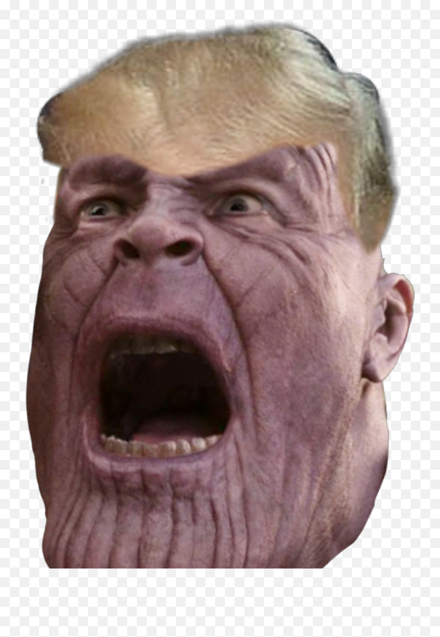 Thanos Donaldtrump Heheh Sticker By Mr Meme - Thanos Head Transparent Background Png,Thanos Head Png