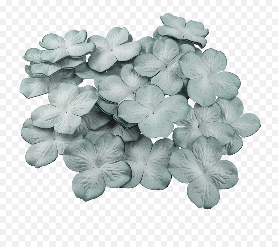 Download 50 2 - Artificial Flower Png,Hydrangea Png