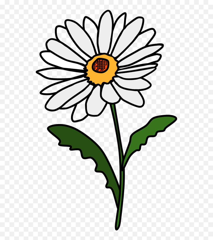 Daisies - Red Daisy Flower Clipart Png,White Daisy Png