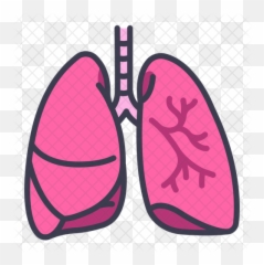 Lung Icon - Clip Art Png,Lung Png