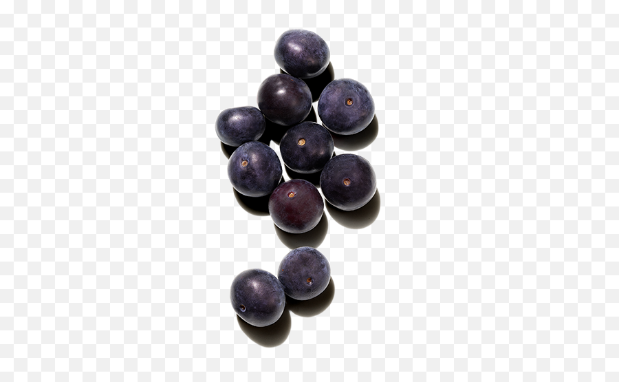 Best Ingredients For Hair Acai Oil Prose - Acai Berries Png,Berry Png