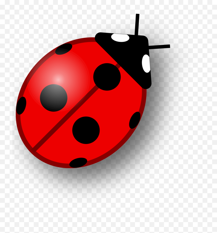 Ladybug As A Drawing Free Image - Simple Ladybug Clipart Png,Transparent Ladybug