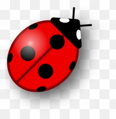 Ladybug As A Drawing Free Image - Simple Ladybug Clipart Png,Transparent Ladybug