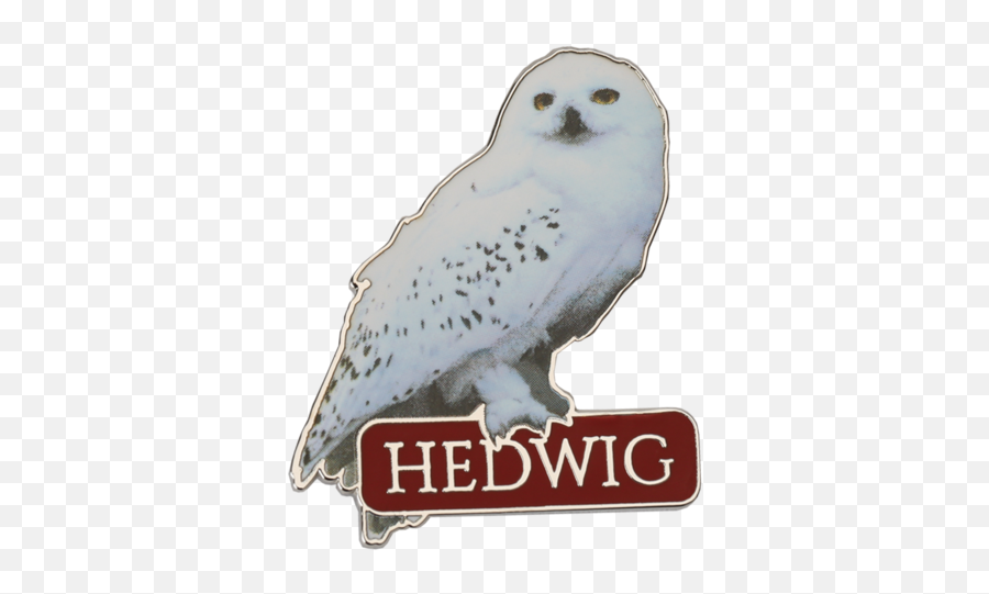Hedwig Pin Badge - Harry Potter Hedwig Png,Hedwig Png