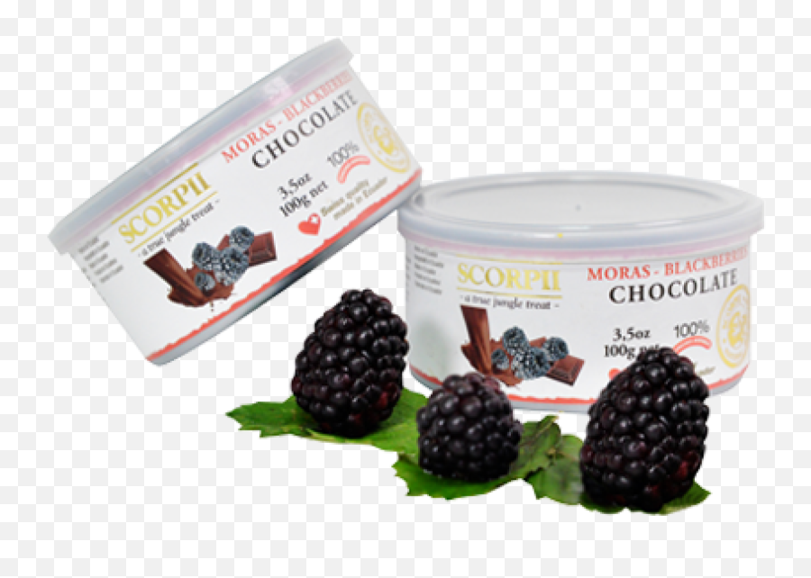 Blackberry Covered With Chocolate - Frutti Di Bosco Png,Blackberries Png