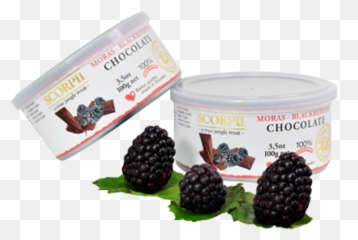 Blackberry Covered With Chocolate - Frutti Di Bosco Png,Blackberries Png