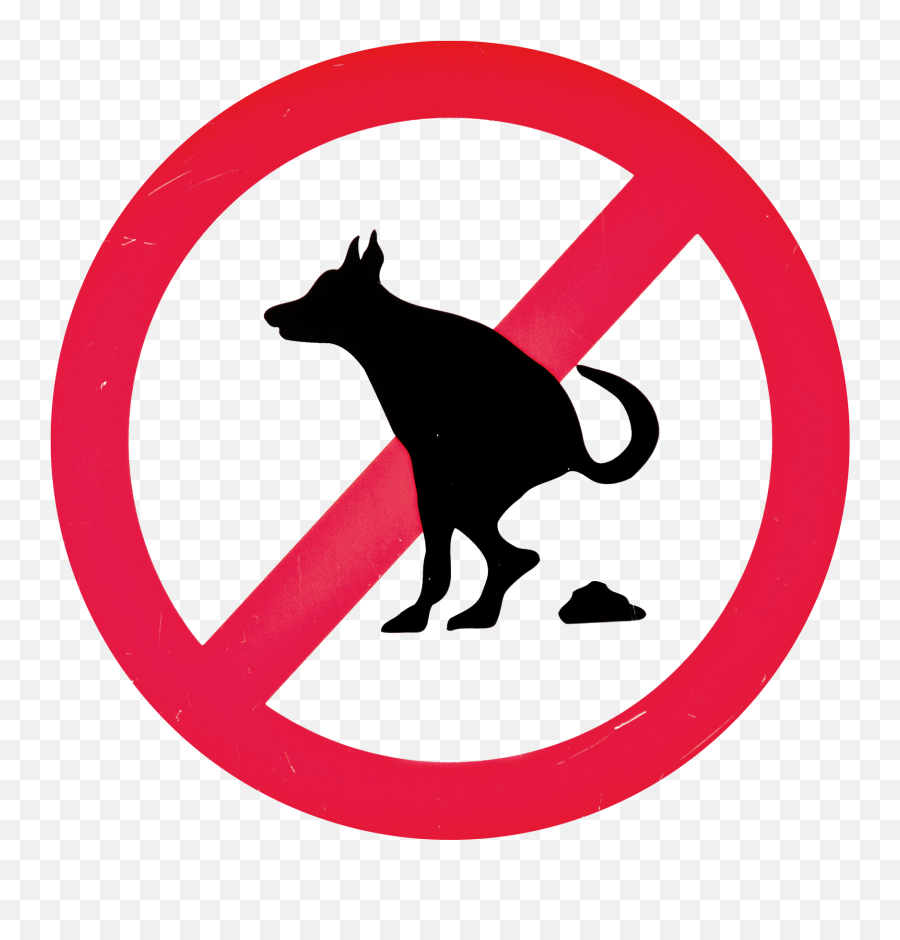 Free Transparent Dog Png Download - Life Saving Rules Suspended Load,Dog Poop Png