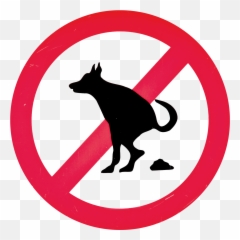 Free Transparent Dog Png Download - Life Saving Rules Suspended Load,Dog Poop Png